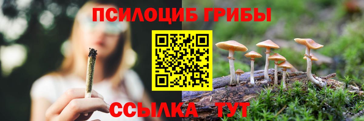 Осинники  Псилоцибиновые грибы GOLDEN TEACHER  Вход с VPN 